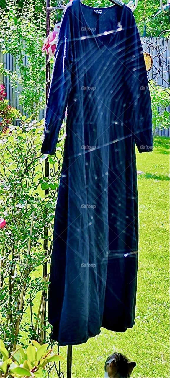 A great presentation results when photographing a dark undergarment that was hung out in the sunshine to dry through the intricate pattern of a large spiderweb. These arachnids have an excellent sense for eclectic design. 2024. Hypnotic Productions