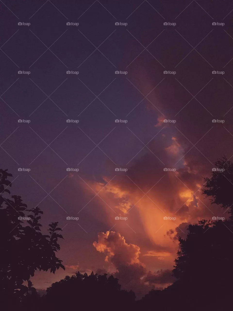 sunset fire