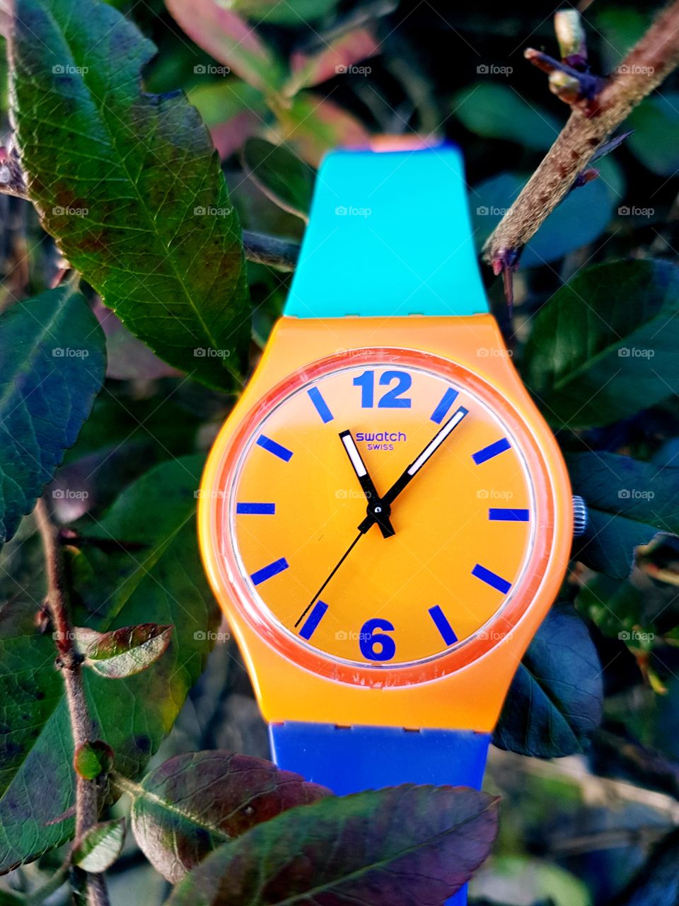 swatch