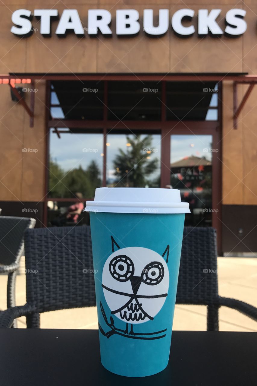 Starbucks owl cup! 