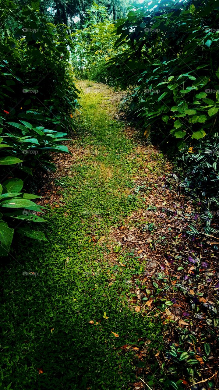 green path