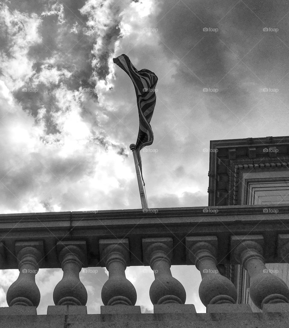 American Beauty in Black & White