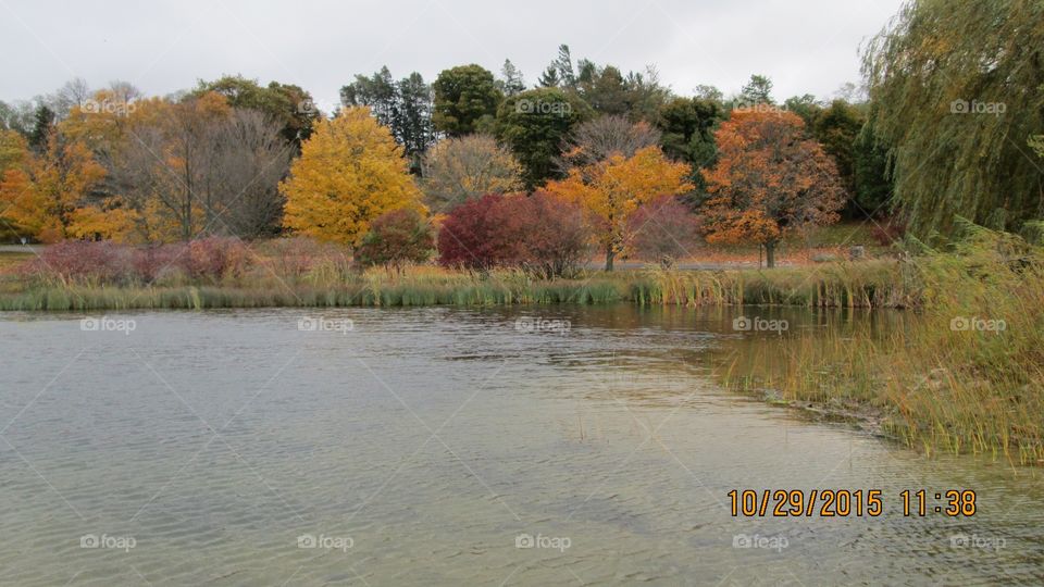 Northern Michigan 