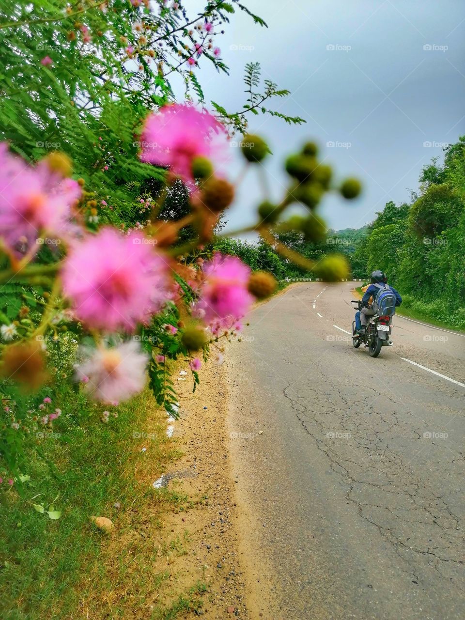 Motorbike running on the highway looking beautiful with nature.