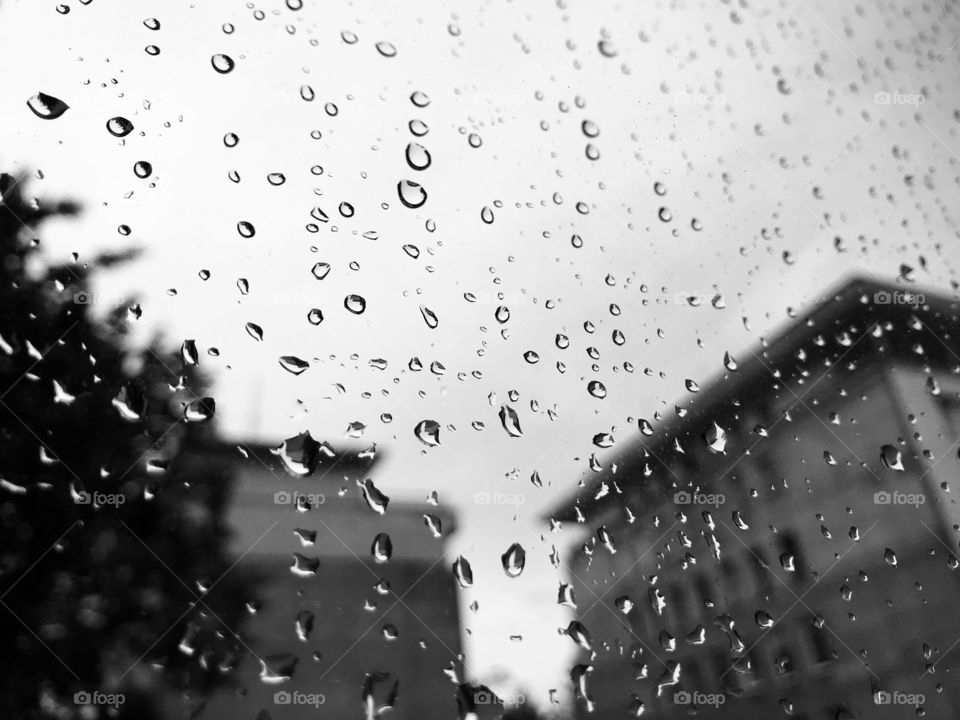 Rain drops on the window glass 