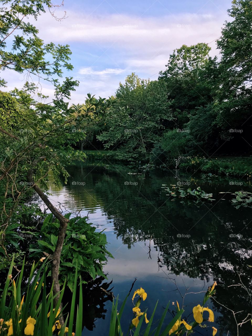 Serine and soothing pond