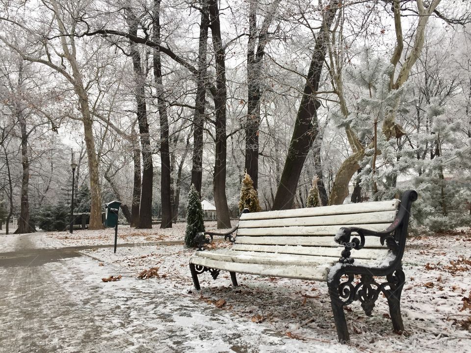 Single bench in the park covered in snow surrounded by snowy trees 