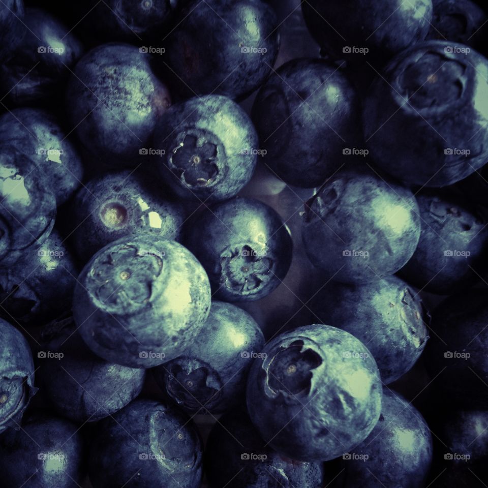 Blueberries. Blueberries up close