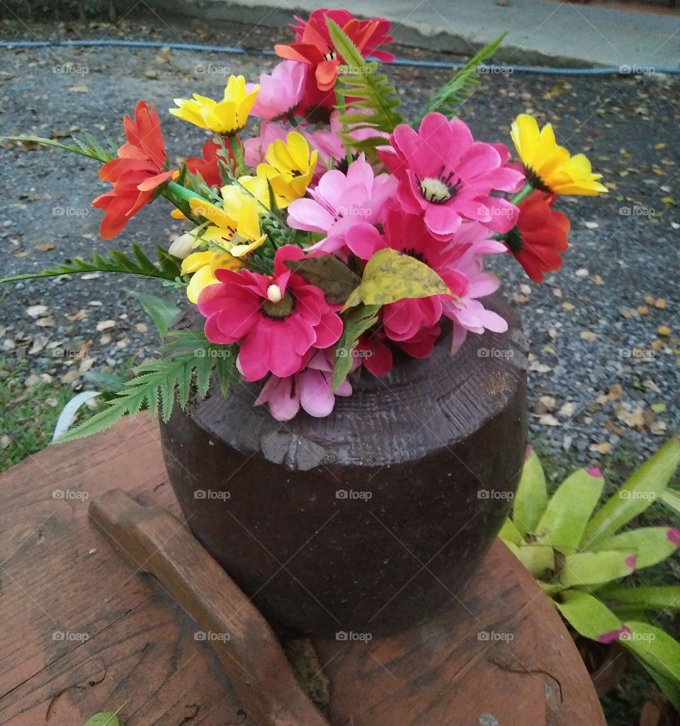 flower on the vase