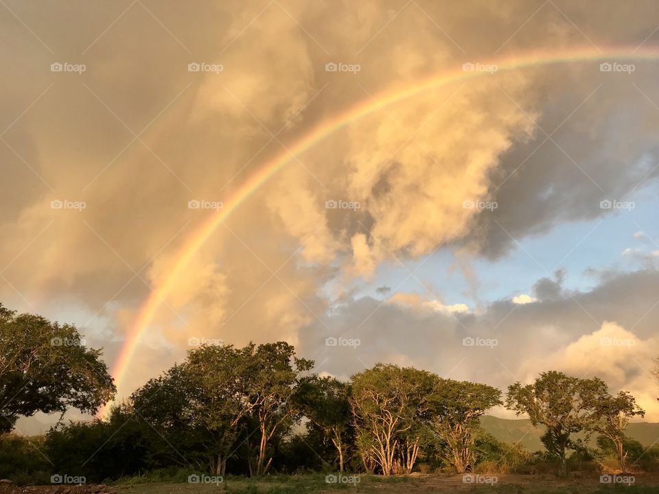 Rainbow, Rain, Storm, Landscape, No Person