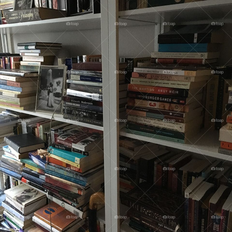 Overflowing bookcases