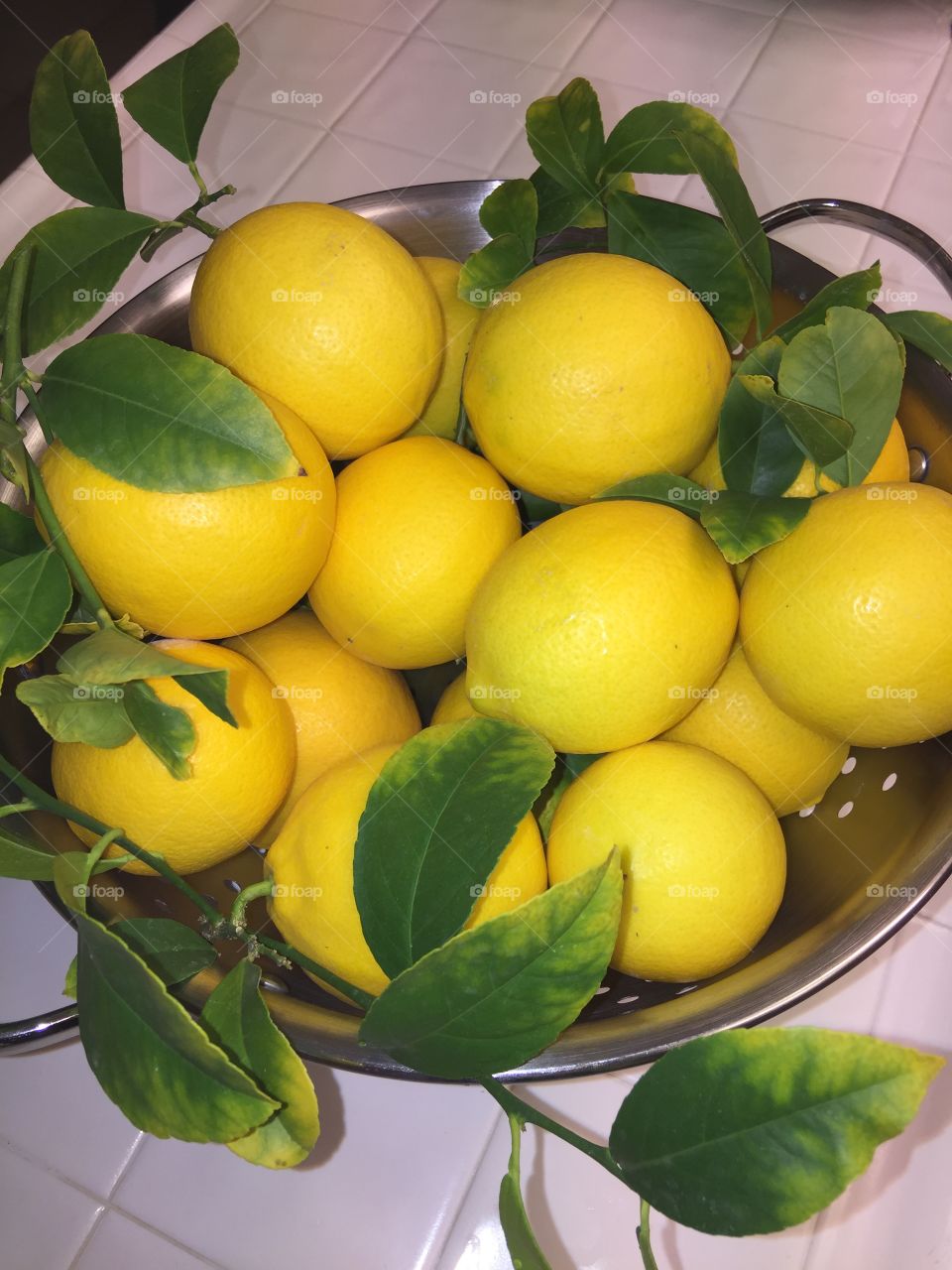 Fresh homegrown California lemons