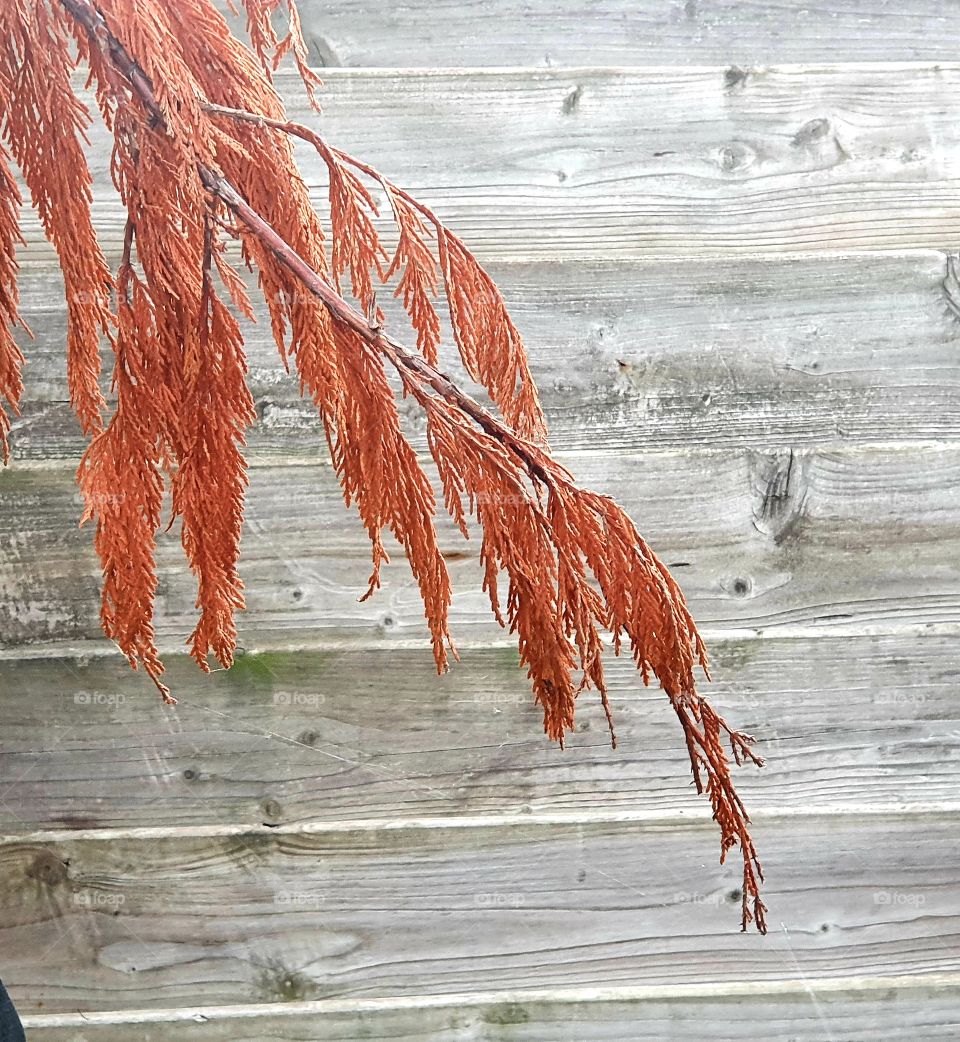 It will be autumn again