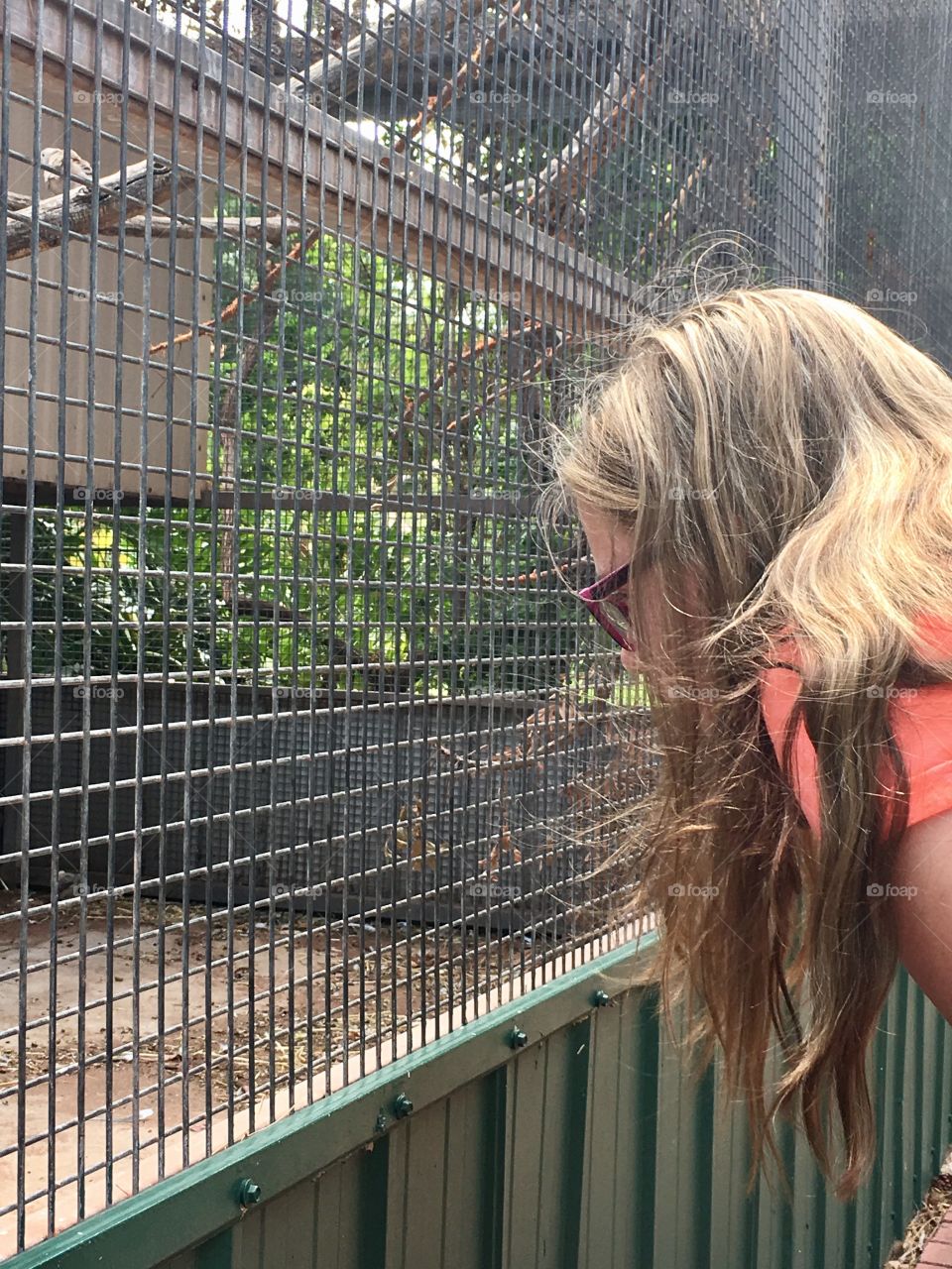 Young long haired girl wearing glasses at zoo looking Through bird cage 