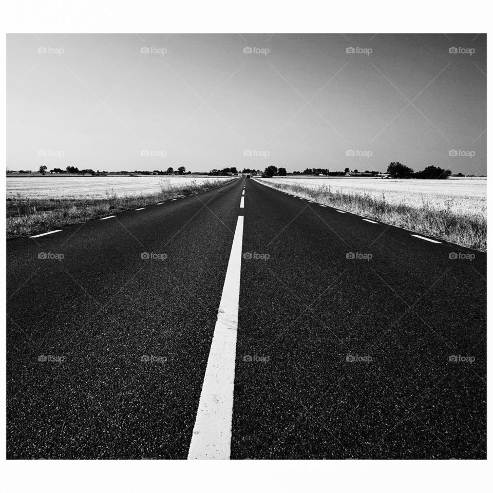 Ready for a road trip?