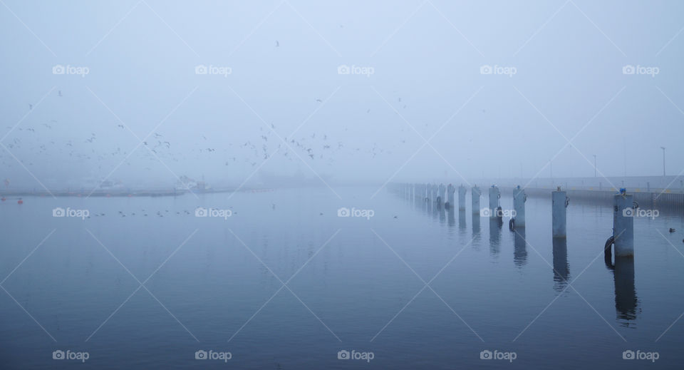 small port during foggy sunrise at the Baltic sea coast in Poland