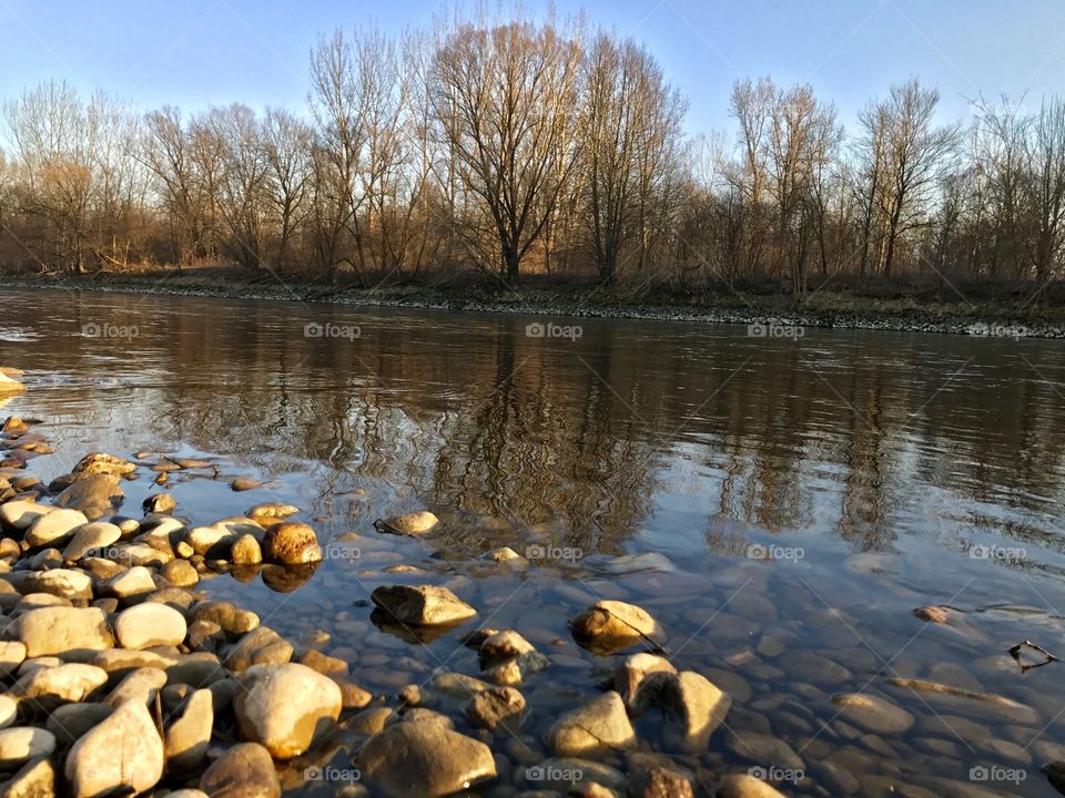 Nature, river Mura