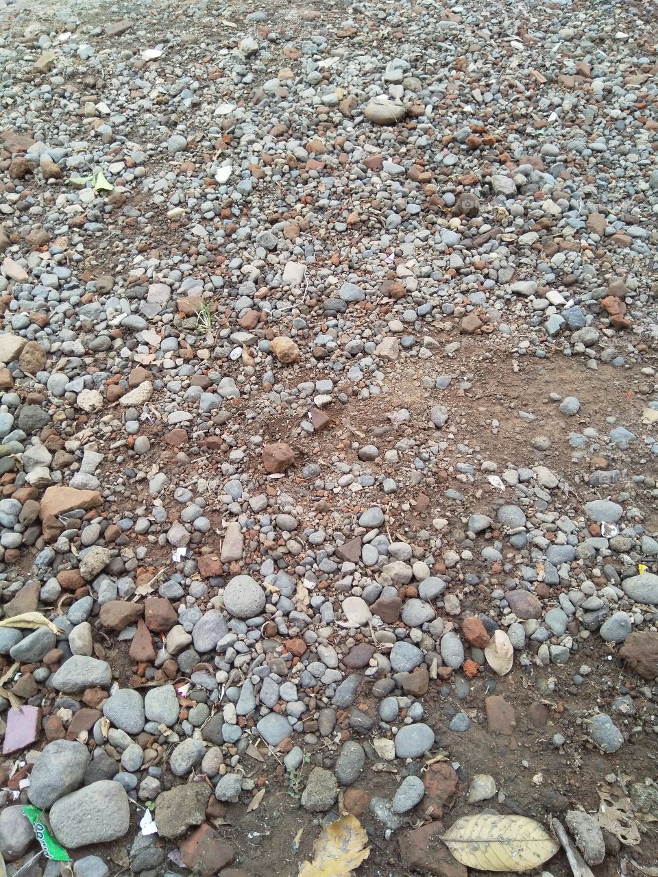 rocks on the yard.
