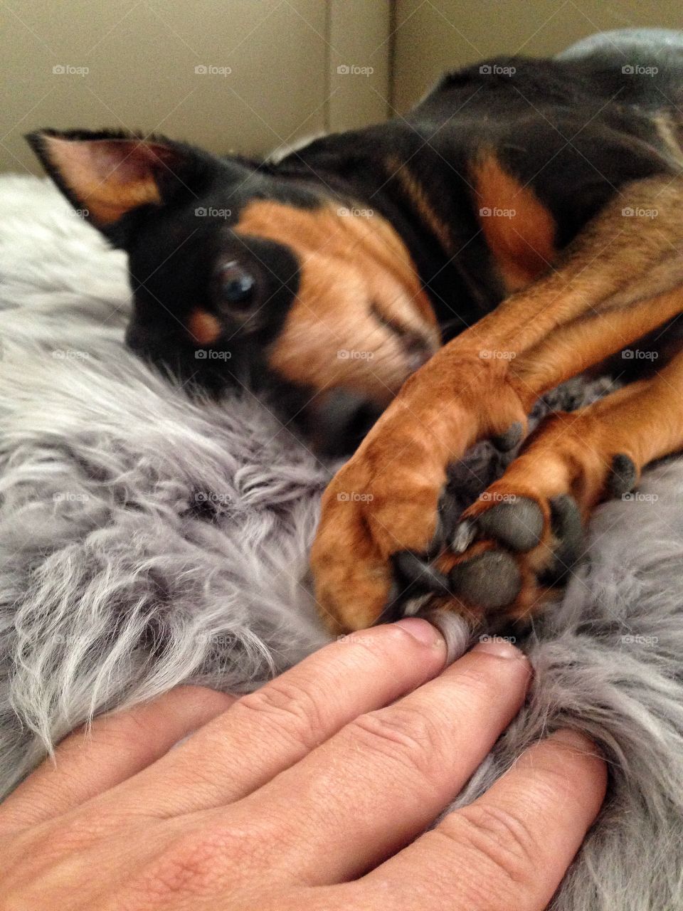 She can be a human too