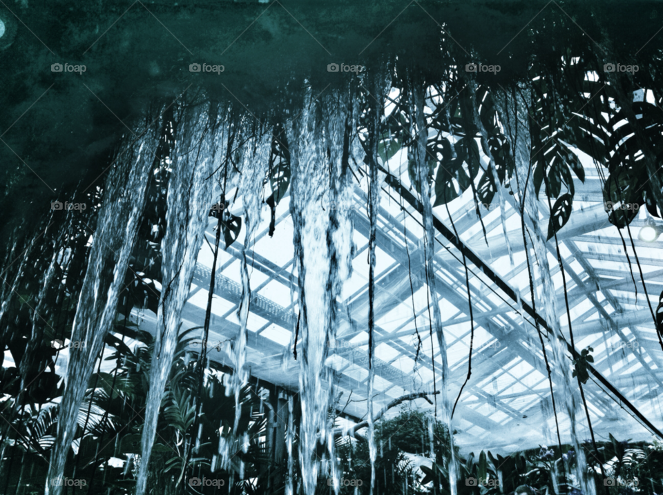 light plants summer palm by nivoa