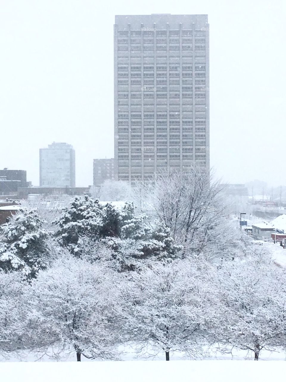City Winter Scene