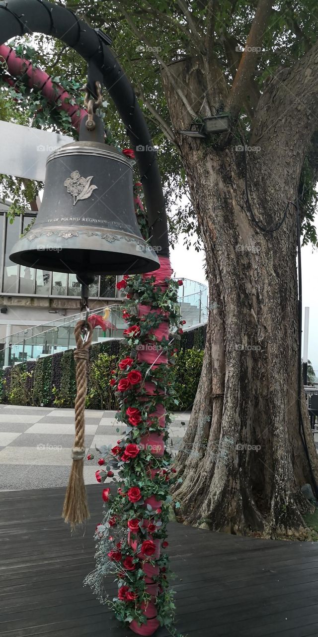 Tinker bell tinker bell, it is really cool.