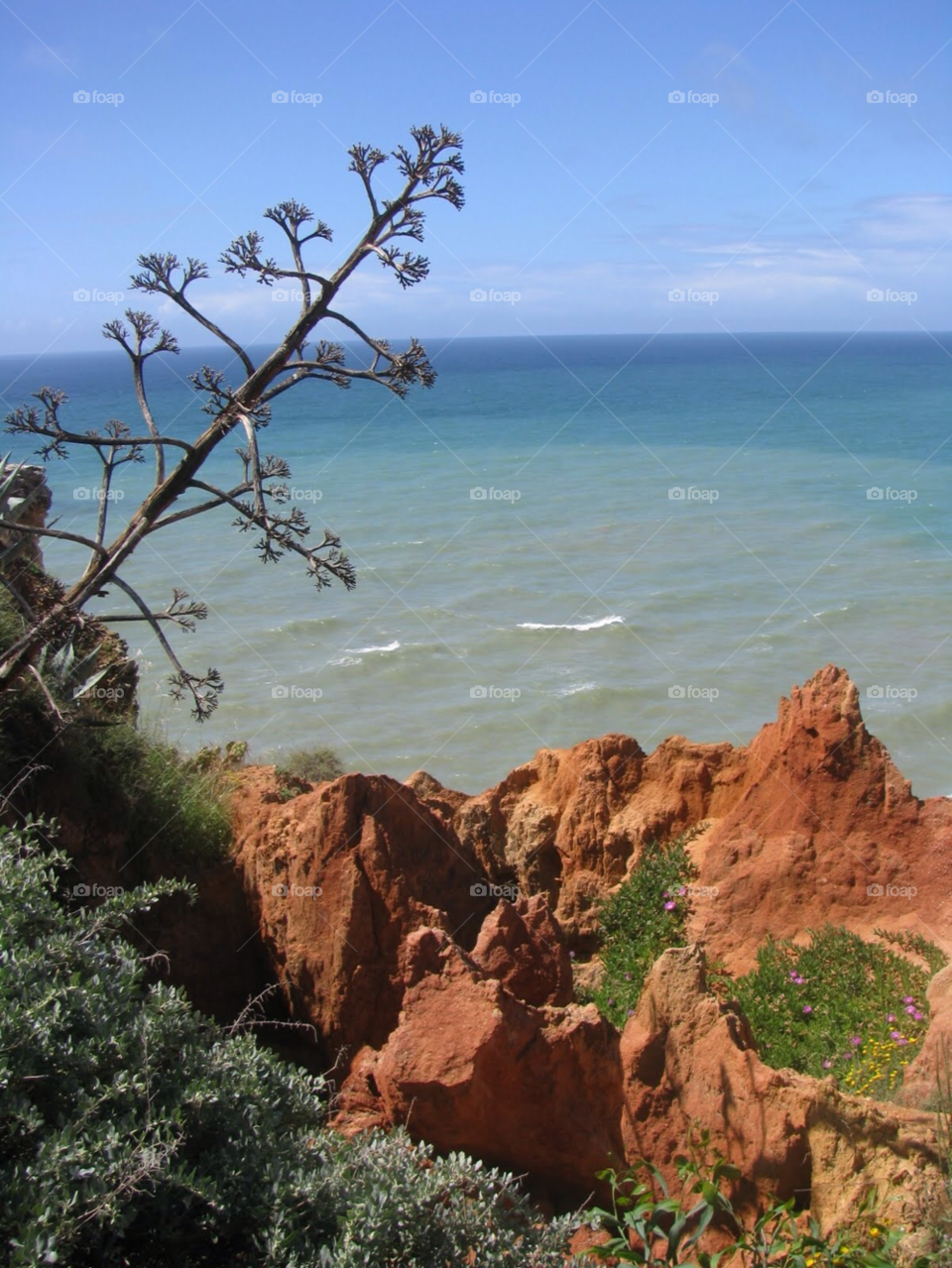 ocean plants sea waves by KathOnEarth