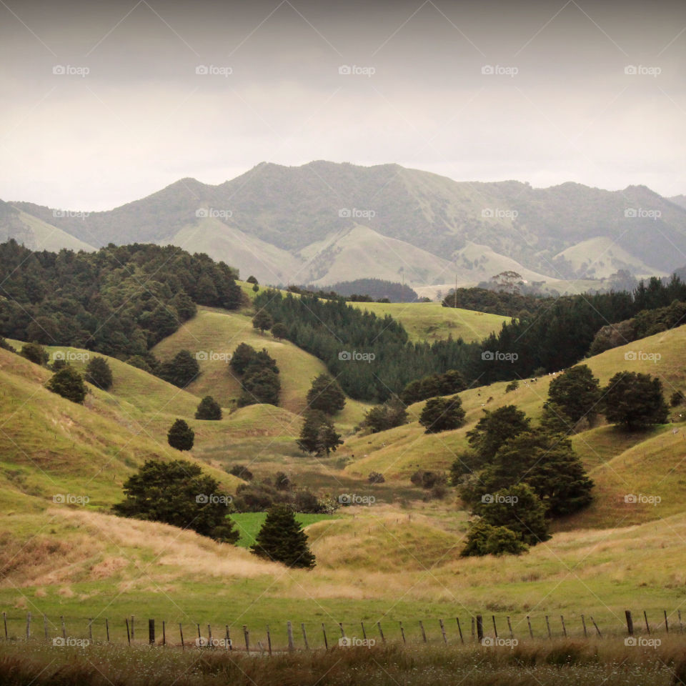 Countryside NZ