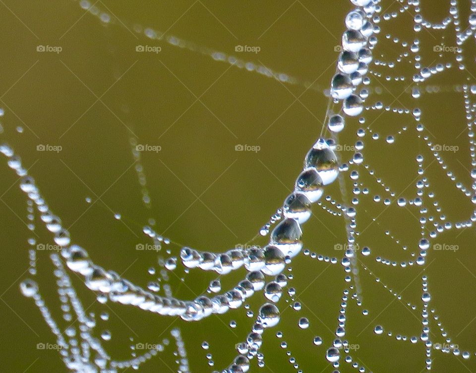 Closer up of a wet spiderweb. 