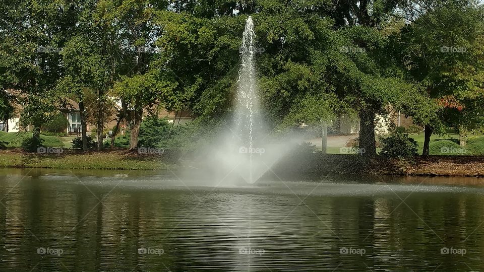 Water, Tree, River, No Person, Nature