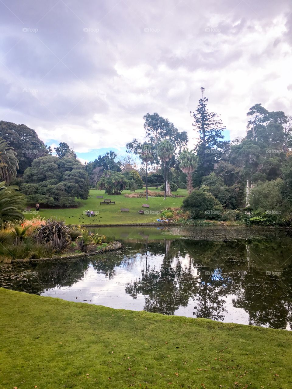 Lake in Royal Botanical Garden 