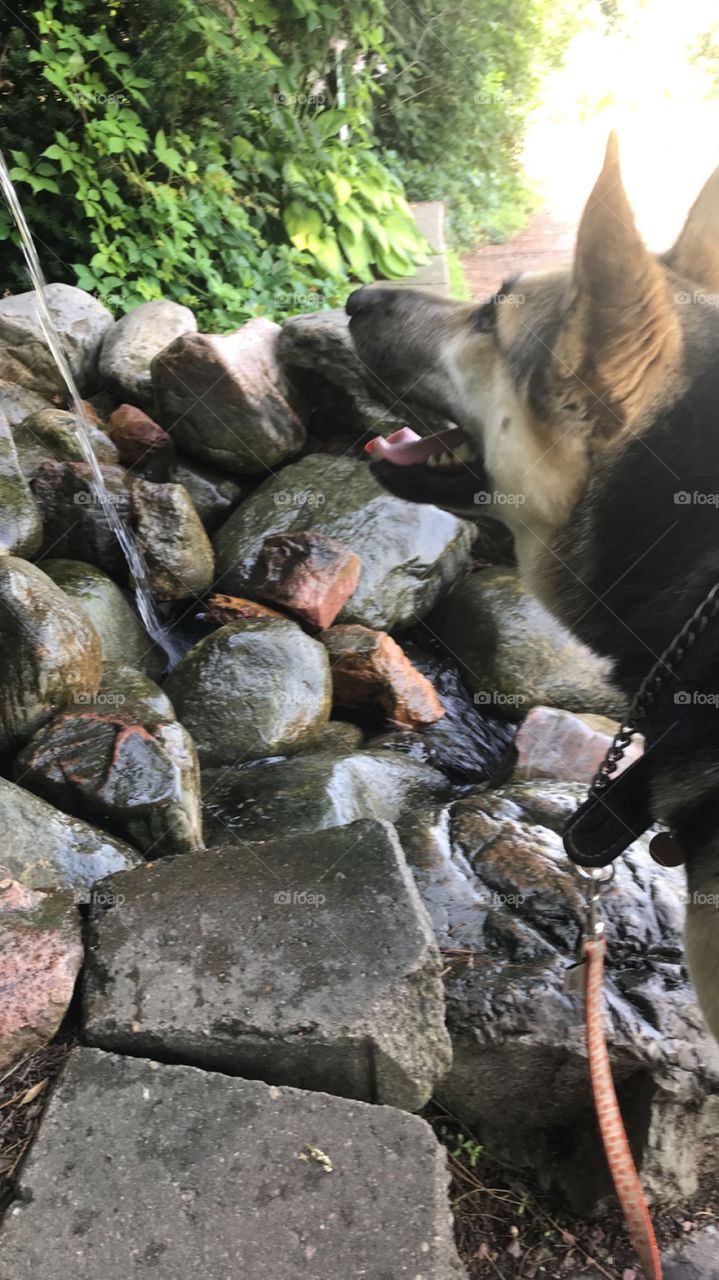 Lola watches and a stream of water flows from a statue. She’s unsure how this has come to be and diligently studies the stone figure. 