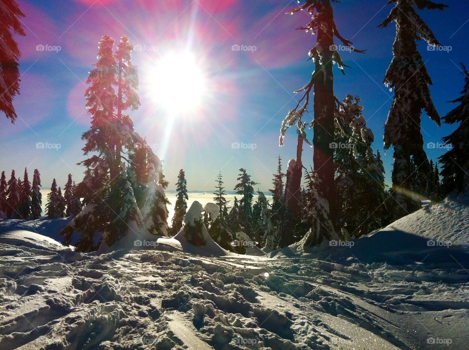 A New Year's Day snowshoe to the top of Hollyburn Mountain. Amazing views, glorious sunshine, blue sky and massive amounts of fresh snow greeted us that day. What a way to start a new year!