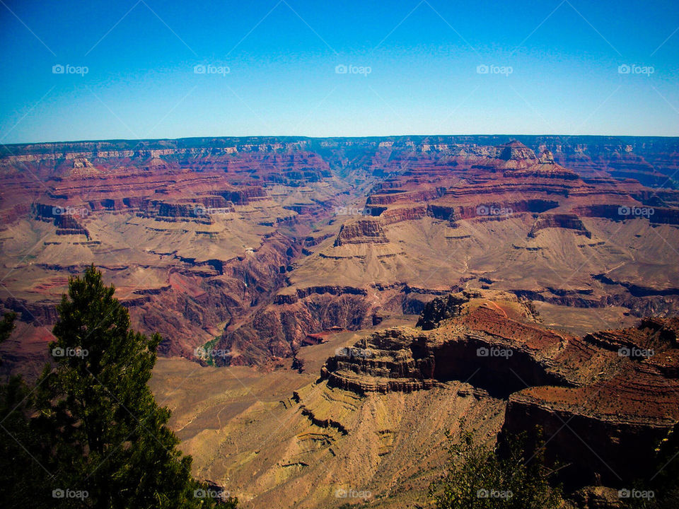 Grand Canyon National Park #4