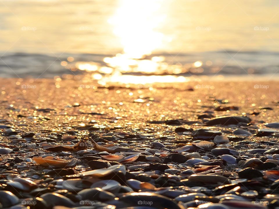 Summer Sunrise On The Beach