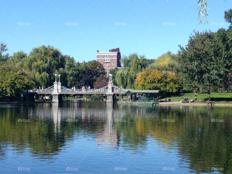 Central Park reflected