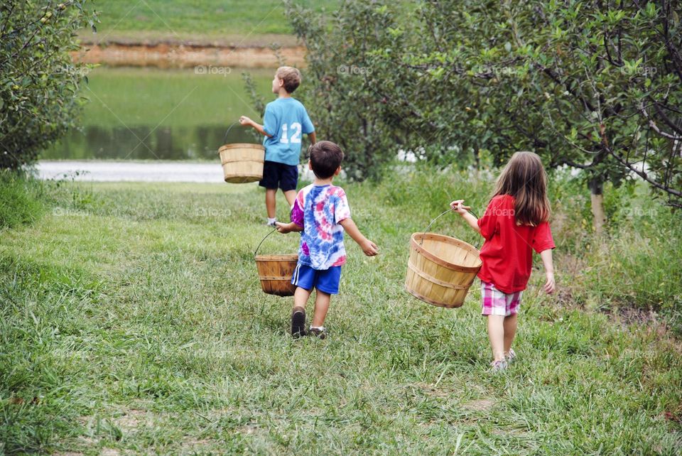 Visiting the Apple Orchard 