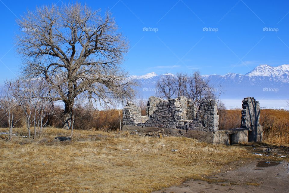 Pioneer ruins
