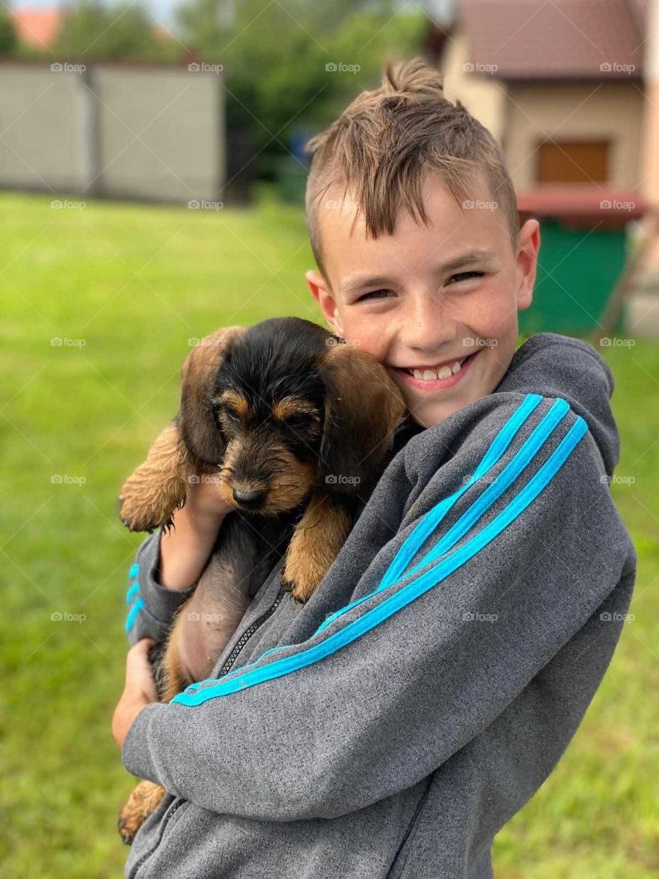 Jamnik szorstkowłosy