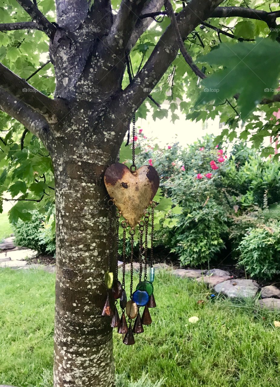 Wind chime hanging on Tree