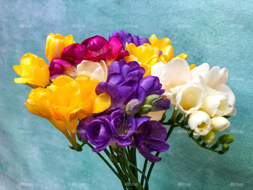 Pink, yellow, purple and white flowers 