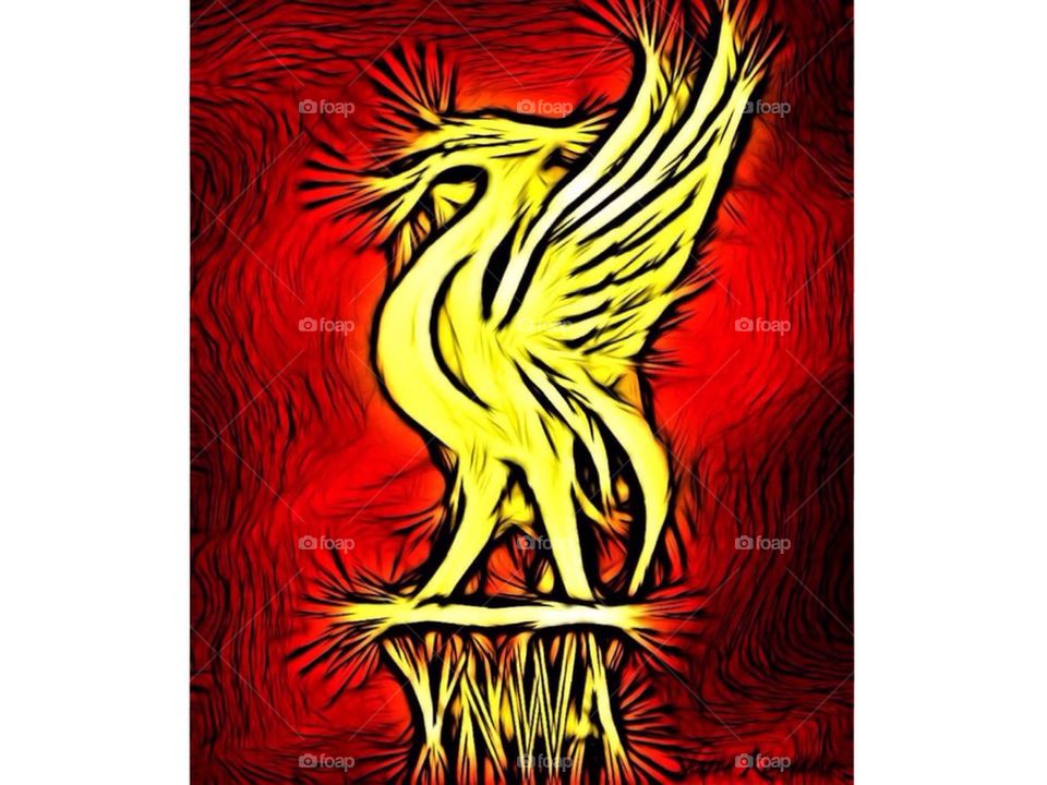 Liverpool f.c 