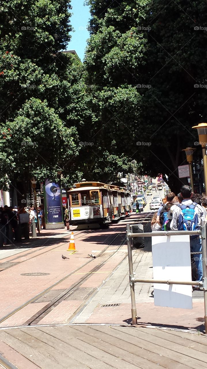 Trolley Car of San Francisco