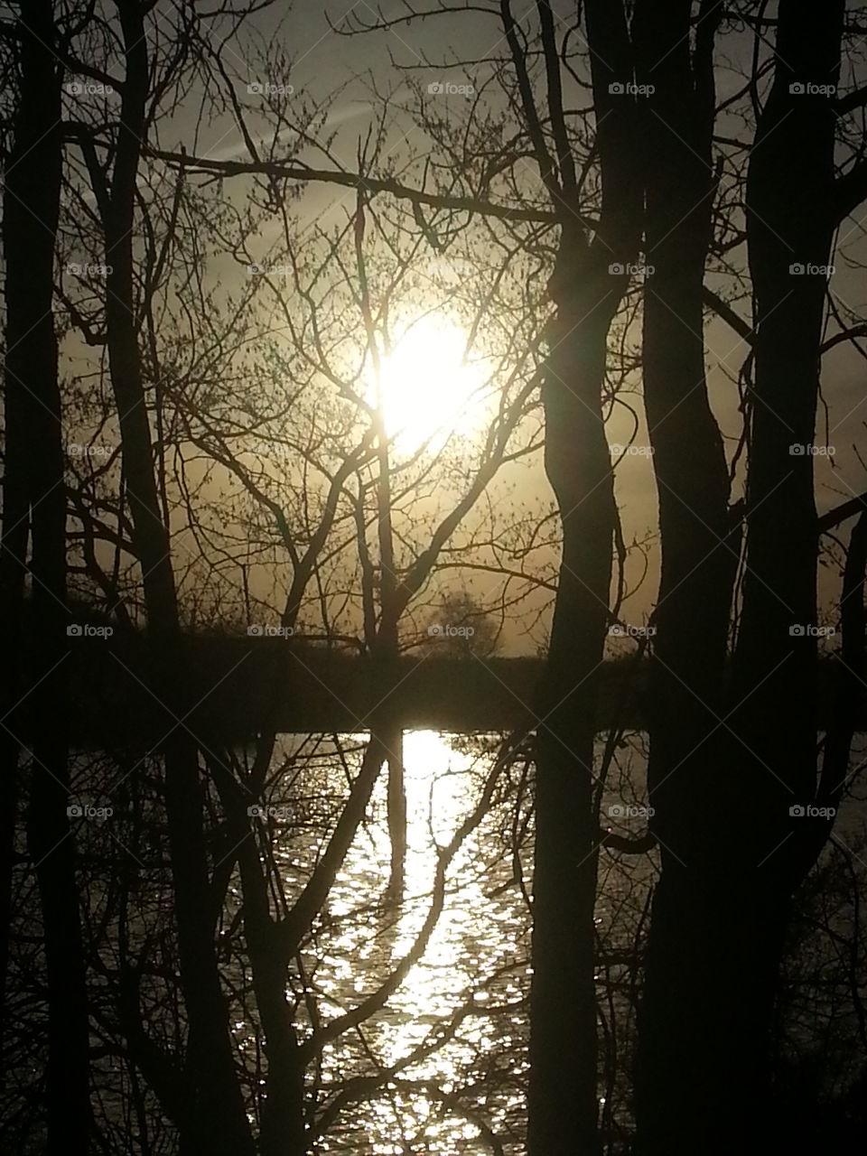 sunset. beautiful sunset