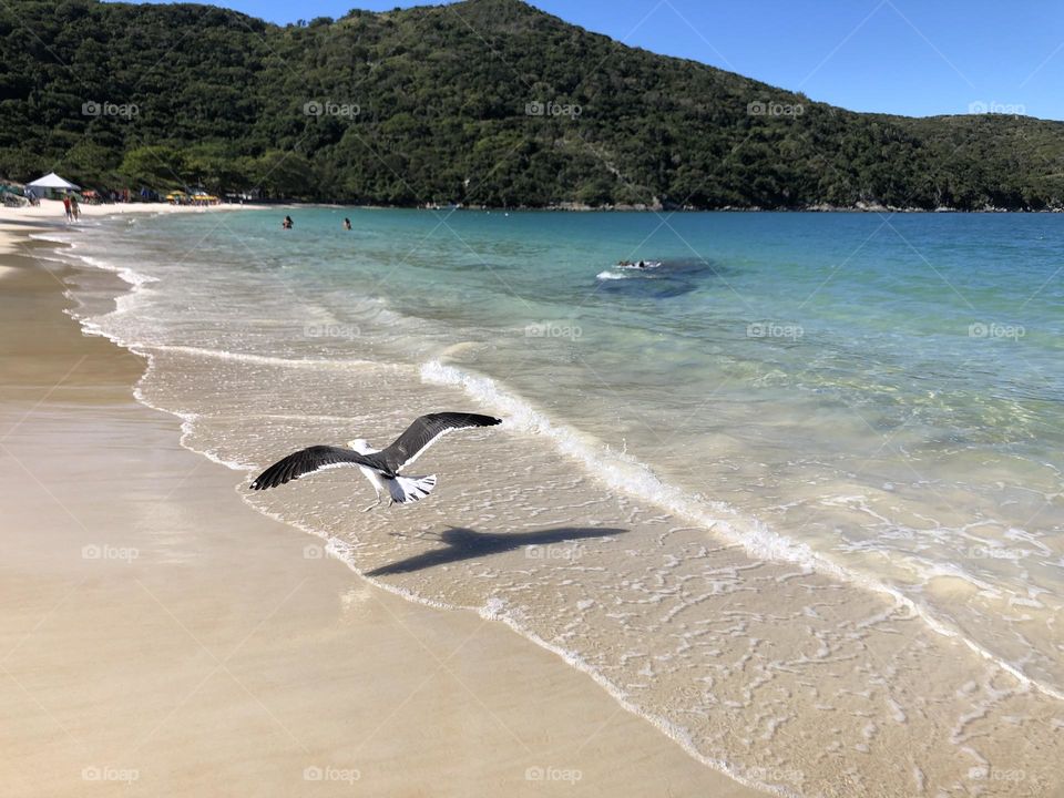 Praia do forno. Arraial do Cabo. Brasil.