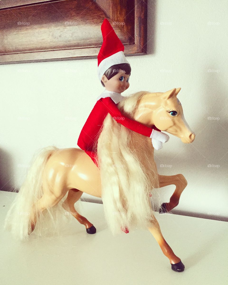 Elf on the horse