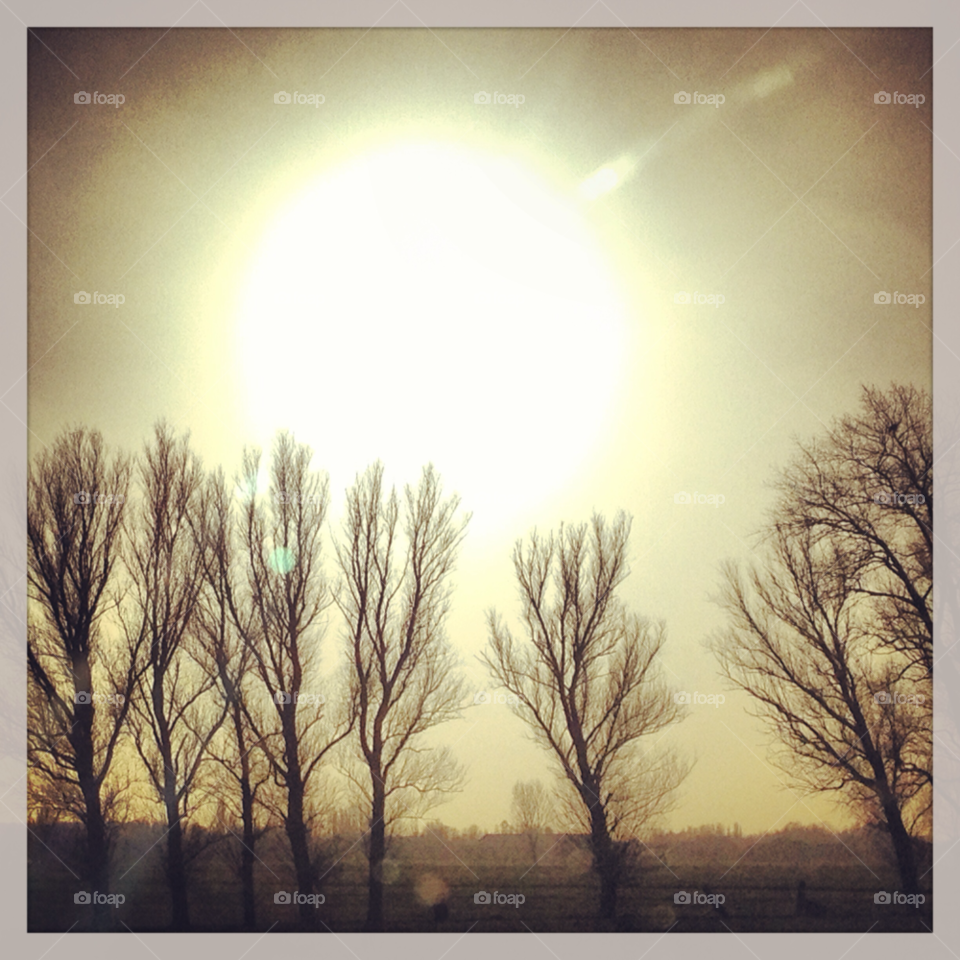 winter sun trees highway by Nietje70