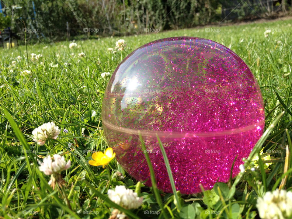 nature flower grass ball by jenni-linde