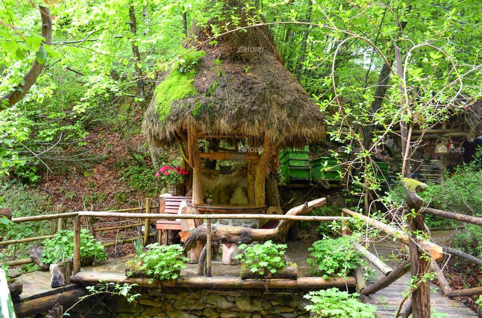 Magic Forest, Bulgaria