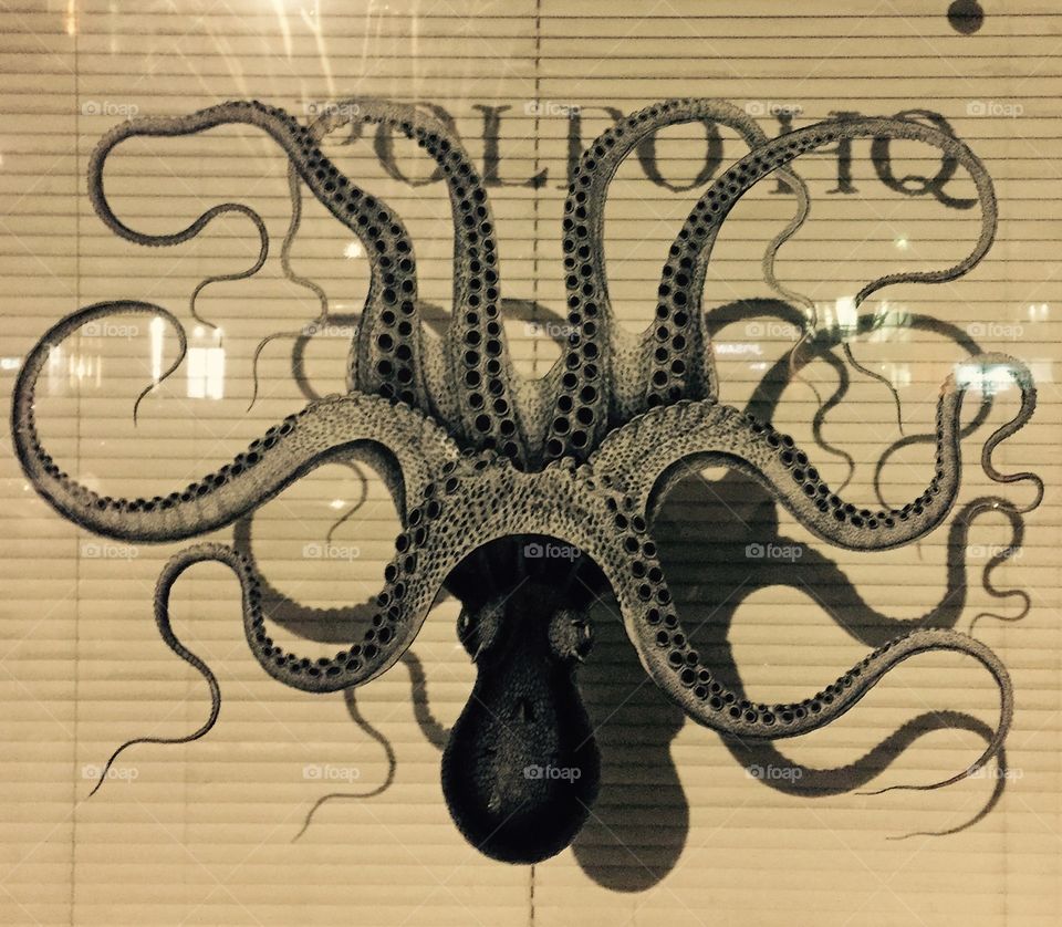 Delicious Octopus on this window in golden square, London 
